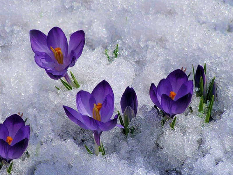 Ирэх 10 хоногт цаг агаар ямар байх вэ